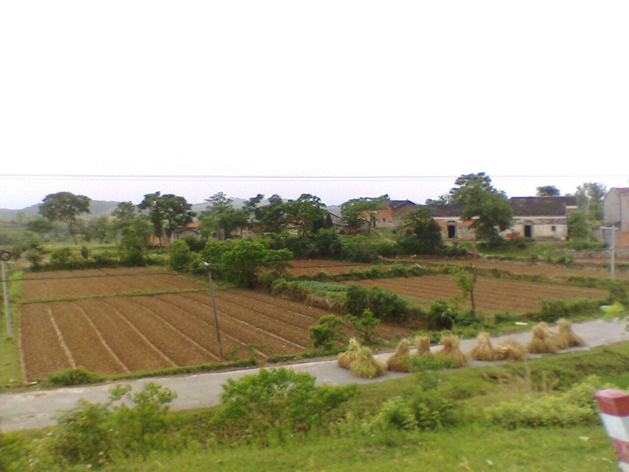 IMG052-2.JPG