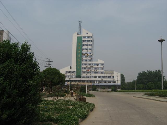 39.JPG