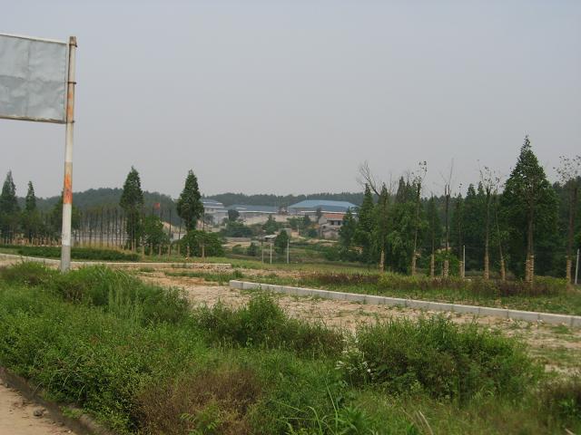 12.JPG