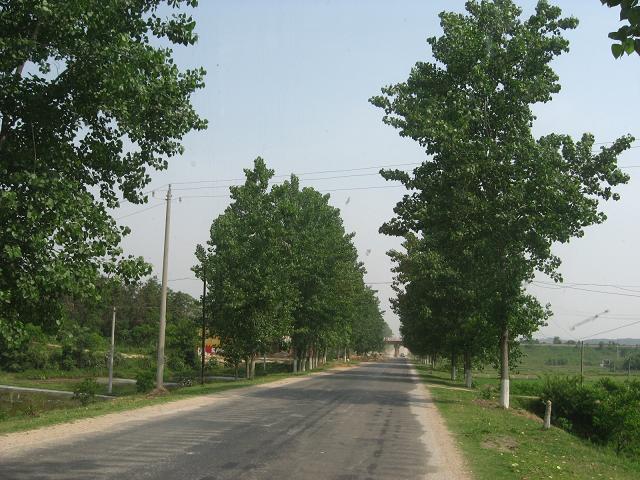 红安 - 大路边公路
