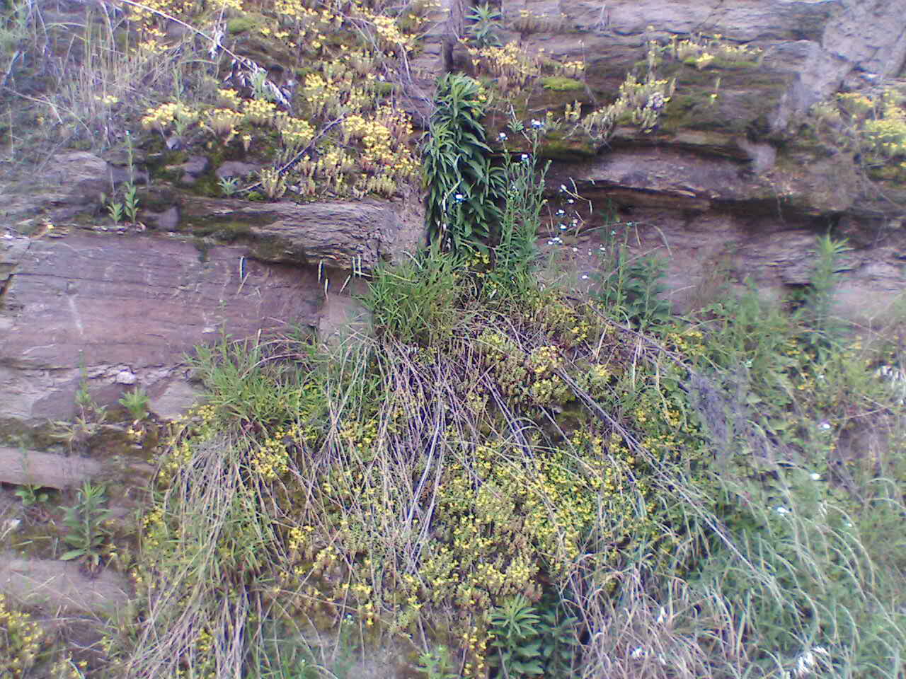 IMG077.JPG