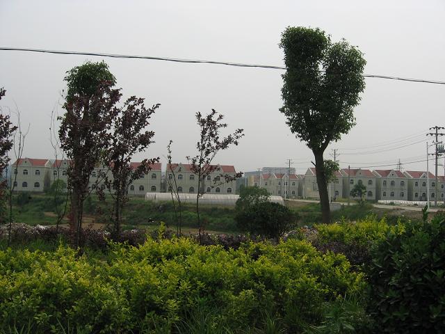 31.JPG