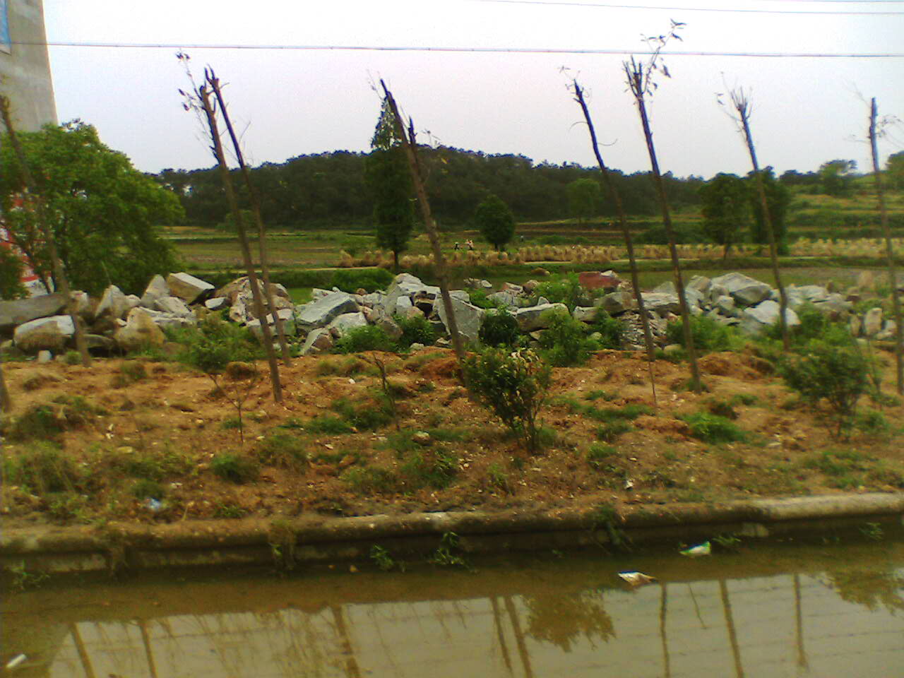 IMG036.JPG