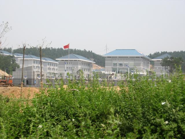 13.JPG