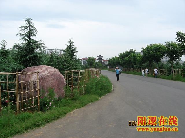 路上