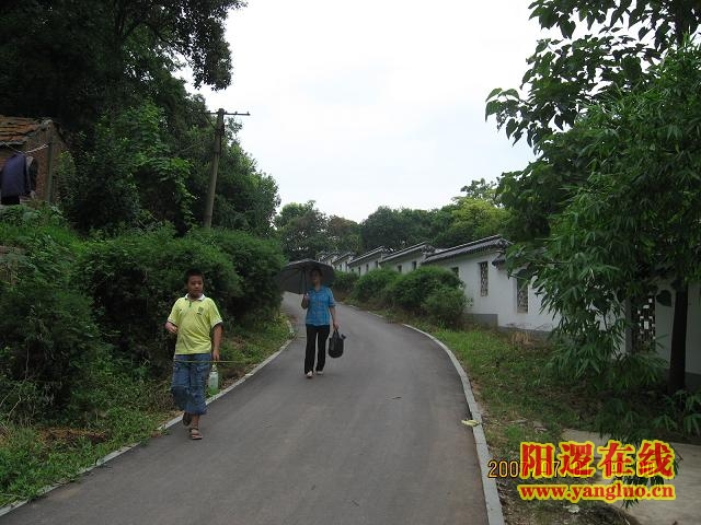 半山路上