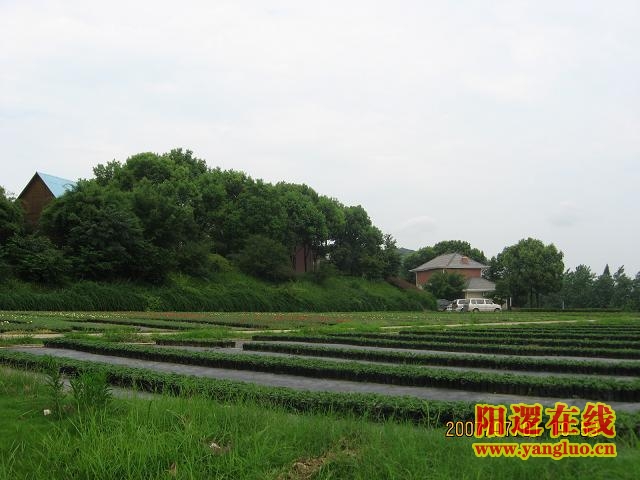 恬逸园渡假山庄