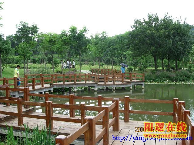晓塘春色