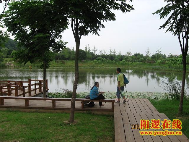 晓塘春色