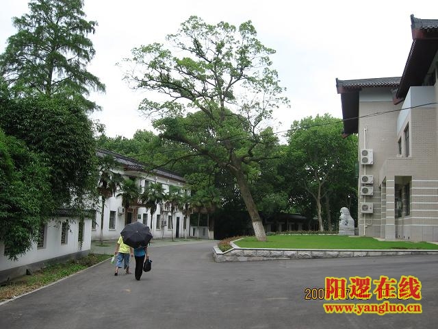 公园办公处
