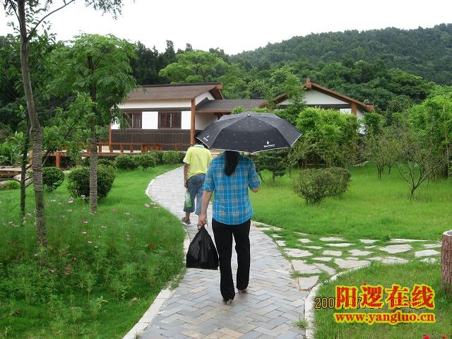 晓塘春色