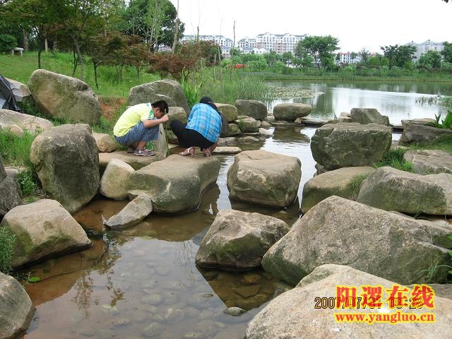 晓塘春色
