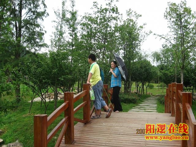 晓塘春色