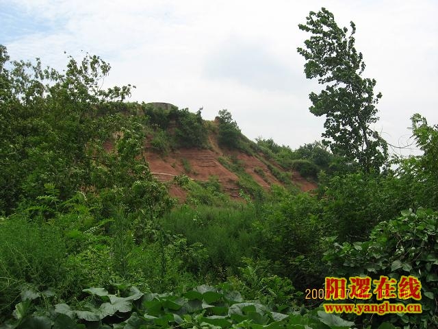 08.JPG