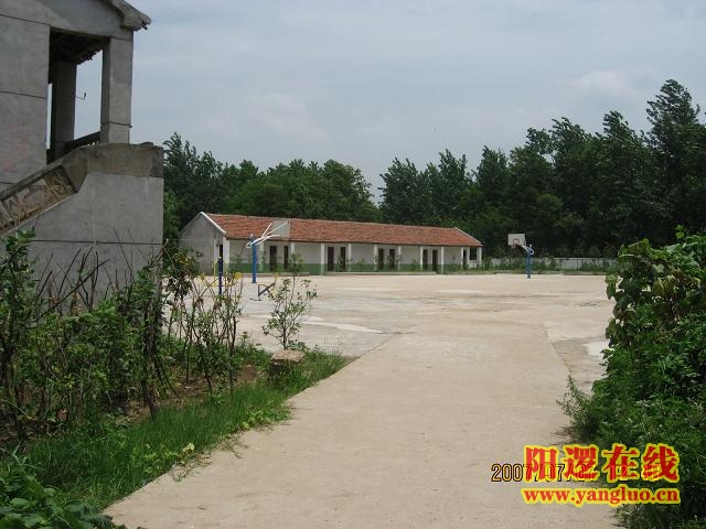 01.JPG