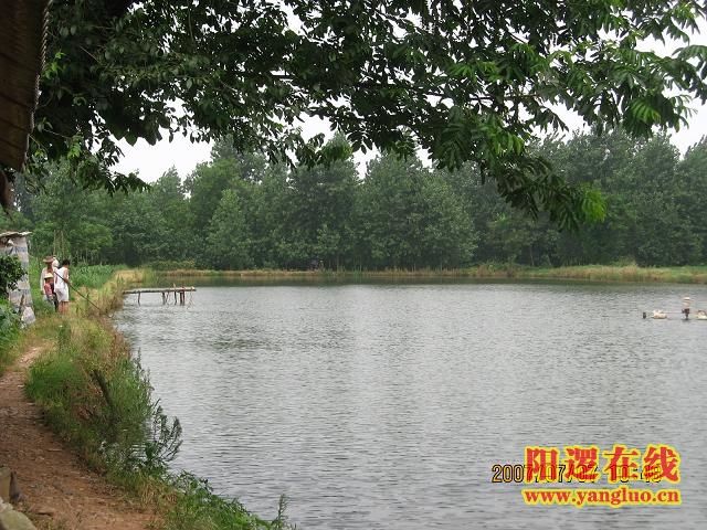 14.JPG