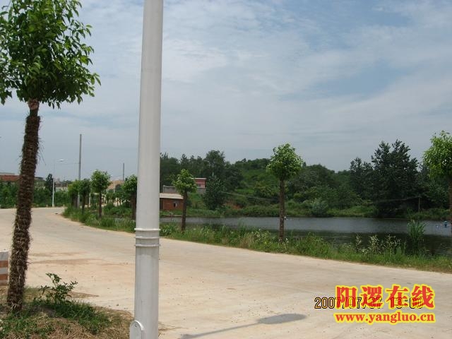 10.JPG