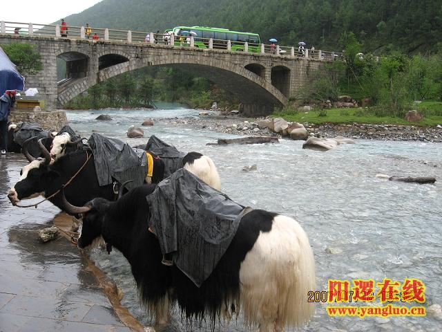 白水河