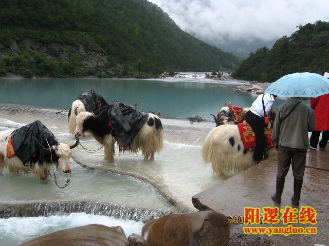 白水河