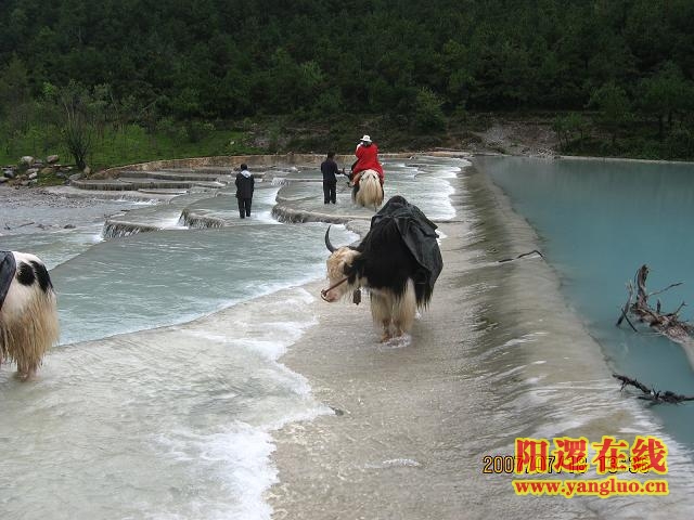白水河