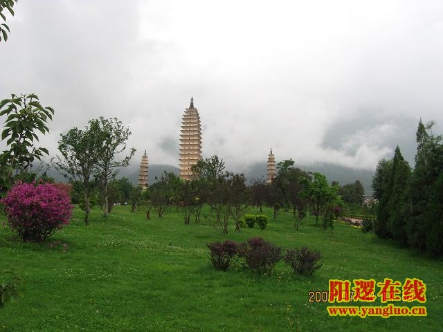 14.JPG