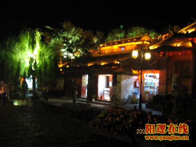 105.JPG