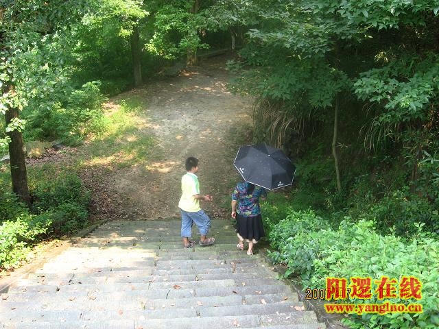 IMG_0155.JPG
