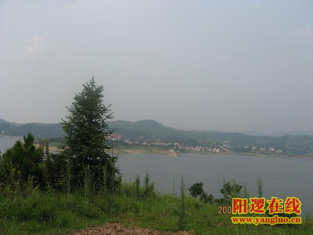 IMG_0214.JPG