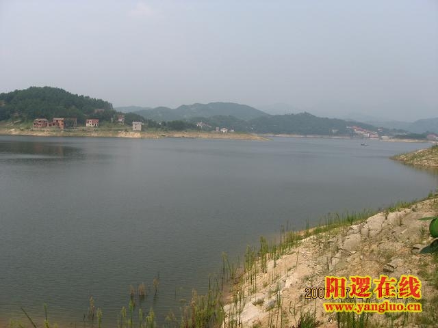 IMG_0235.JPG
