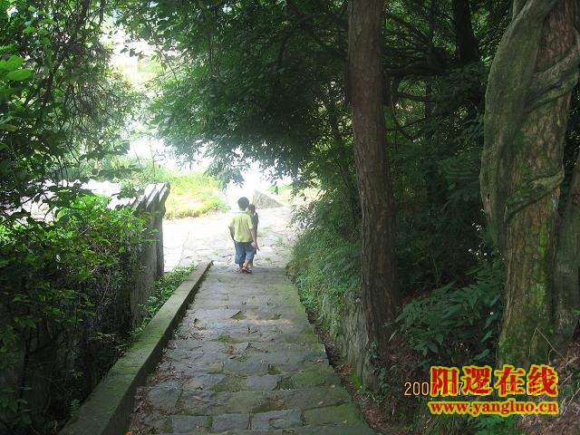 IMG_0136.JPG