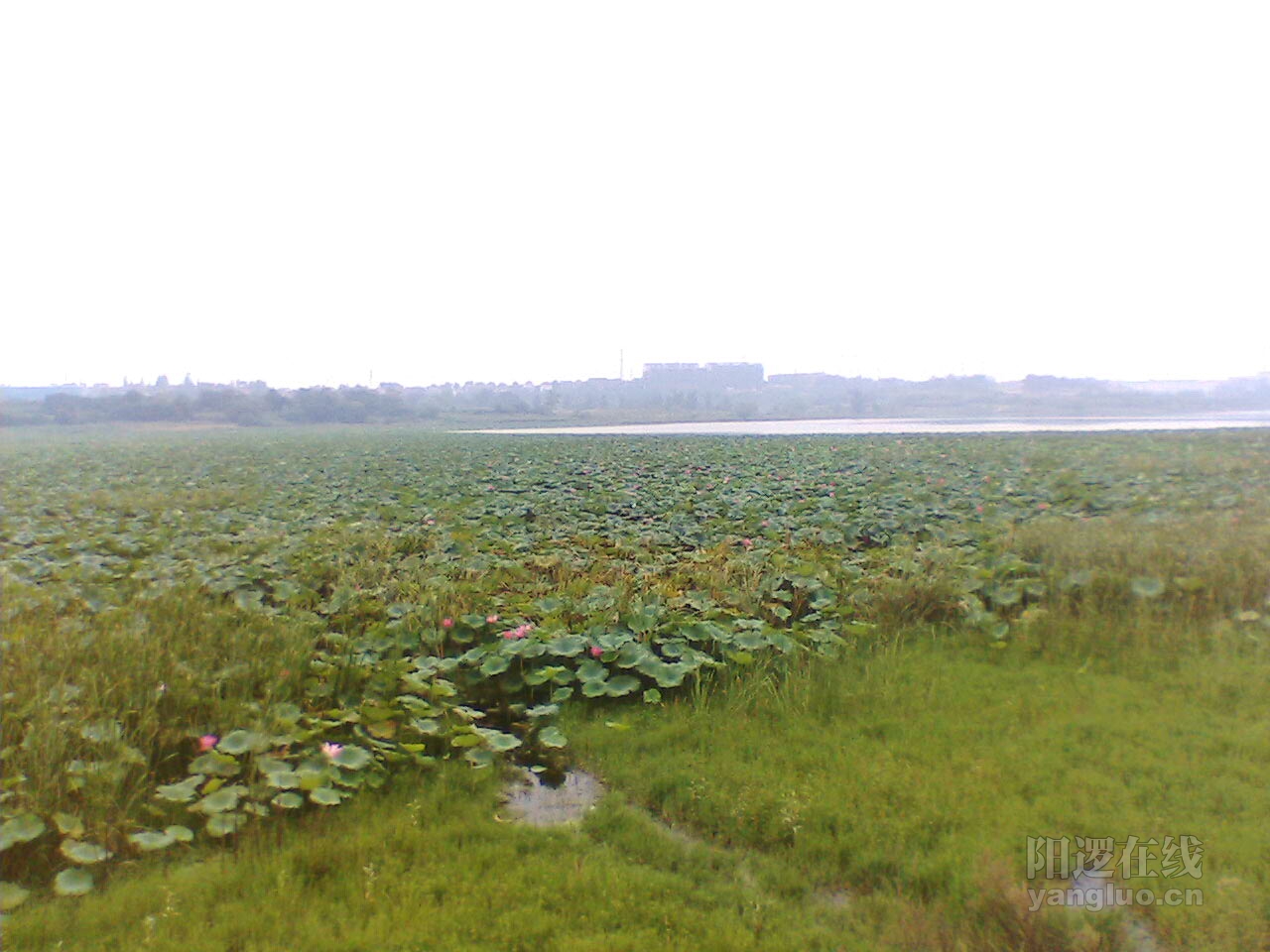 IMG063.JPG