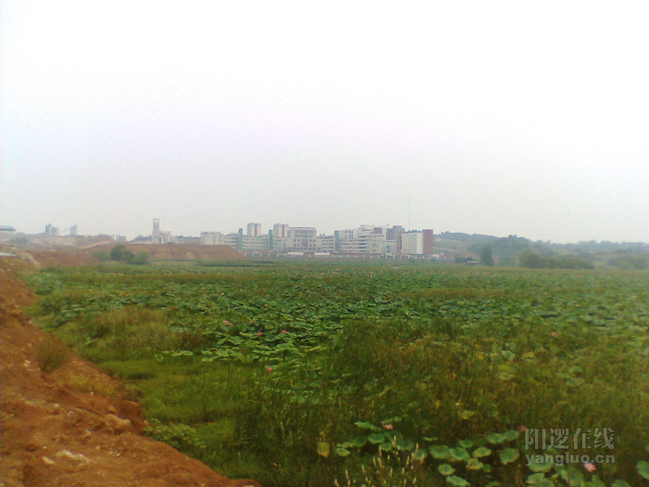 IMG062.JPG