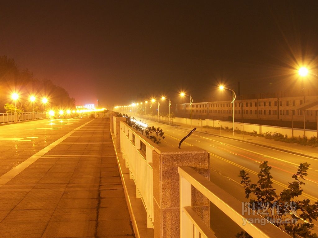 20051019052651030.jpg