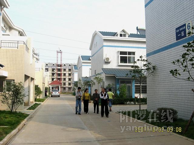 08.JPG