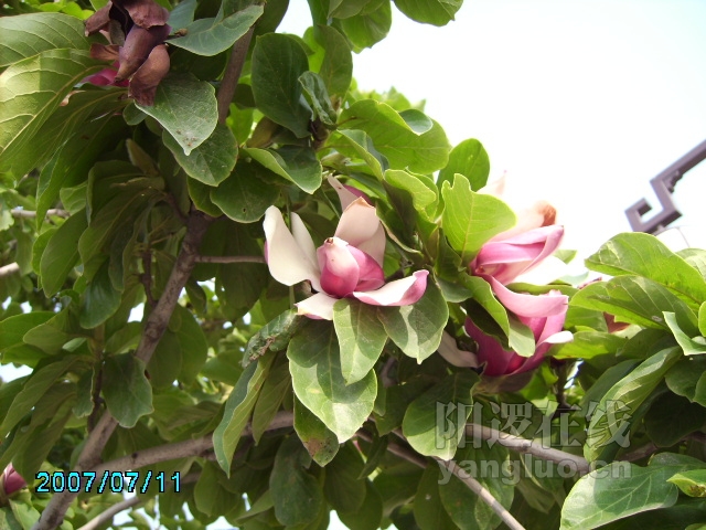 PICT0079.JPG
