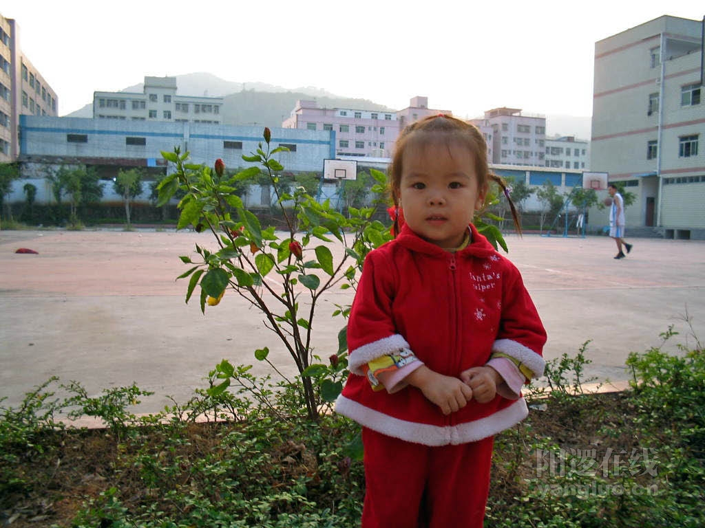 相片049_edited.JPG
