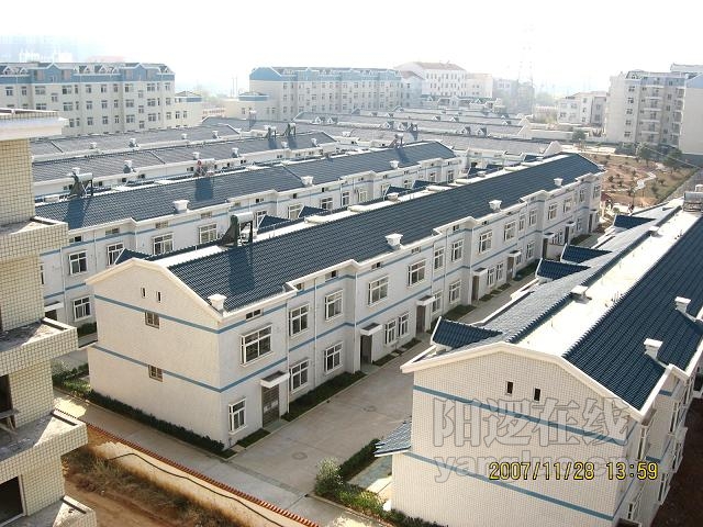 10.JPG