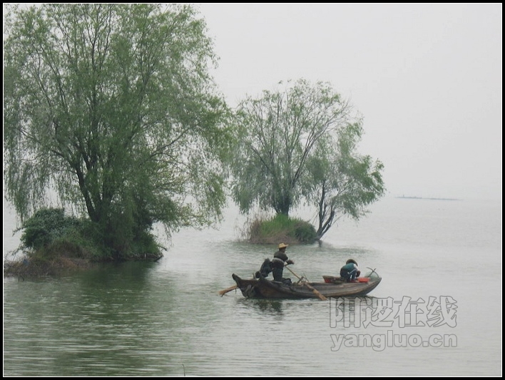 IMG_6984.JPG