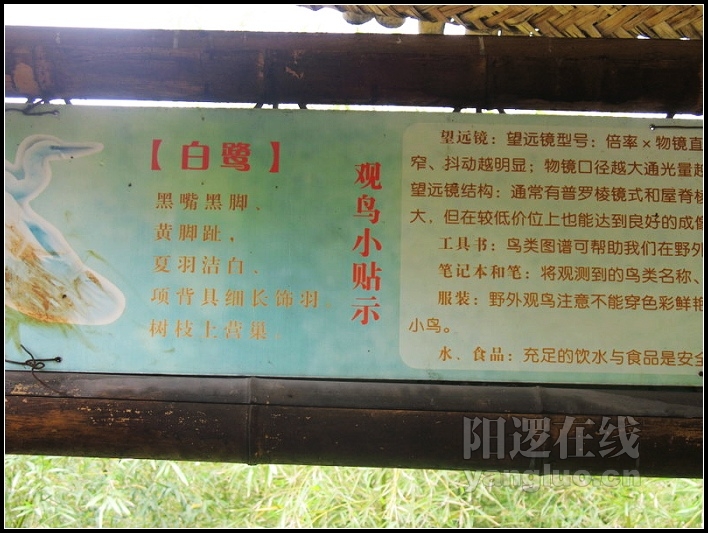 IMG_6941.JPG