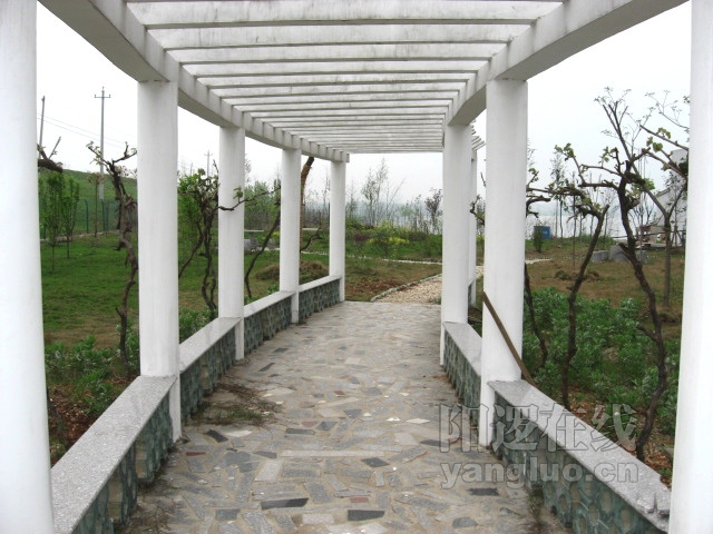 07.JPG