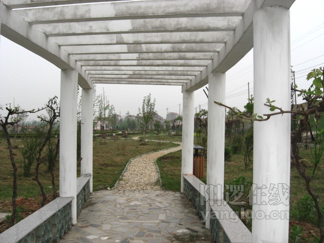 08.JPG