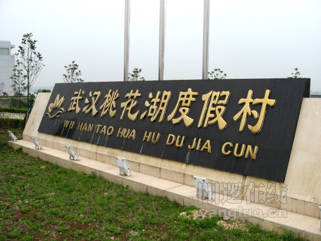 02.JPG