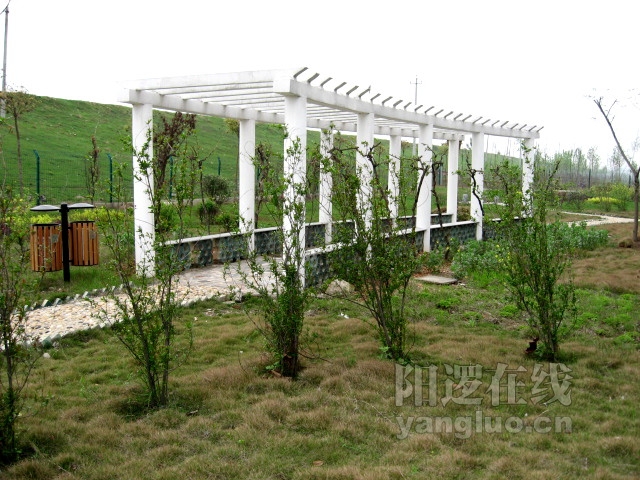 06.JPG