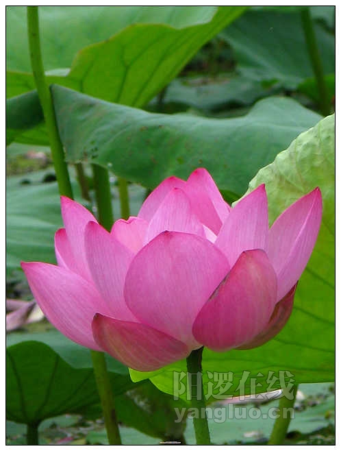 照片 035_nEO_IMG.jpg