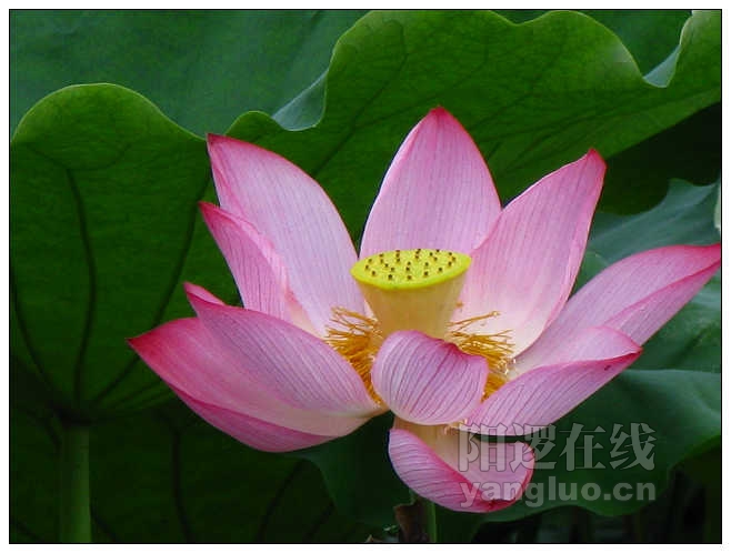 照片 056_nEO_IMG.jpg