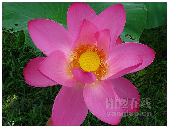 照片 032_nEO_IMG.jpg