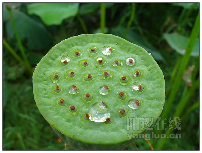 照片 036_nEO_IMG.jpg