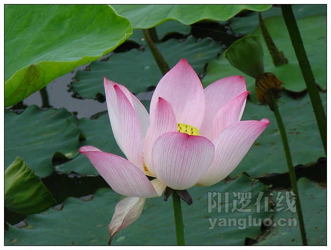 照片 057_nEO_IMG.jpg