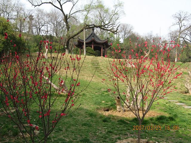 12.JPG