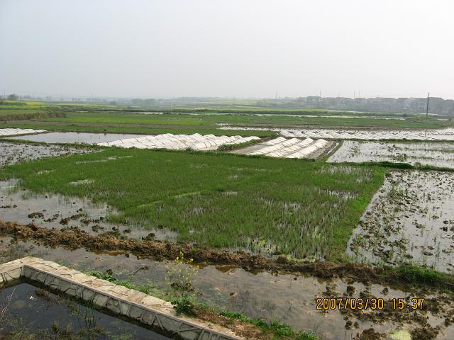 09.JPG